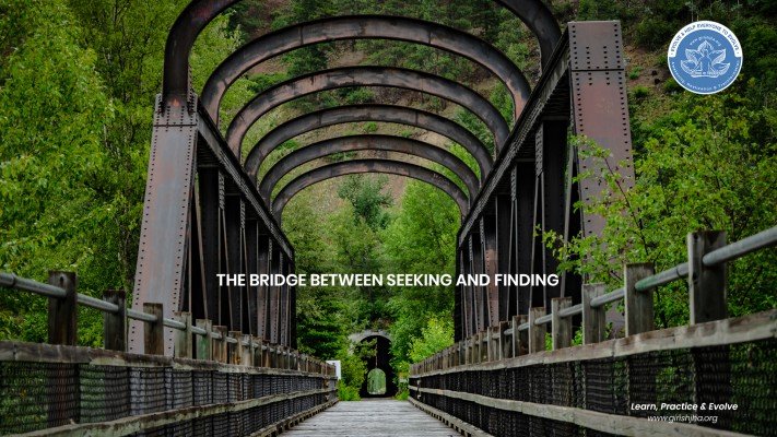 The bridge betwwn Seeking and finding