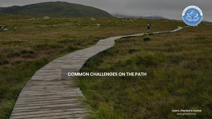 Common challenges on the path