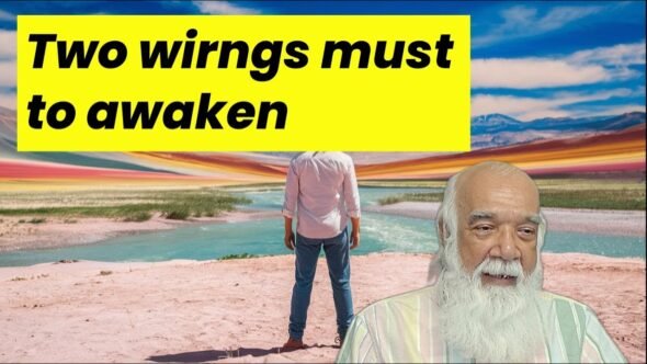 Happiness and Wisdom Two wings awakens to Real Self - youtube