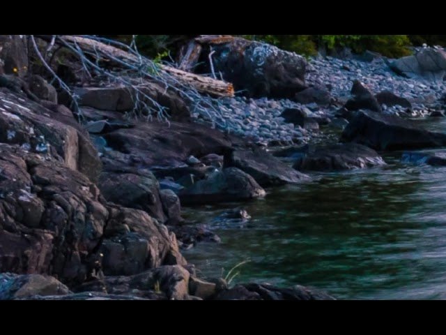 Meditation step by step with understanding - youtube